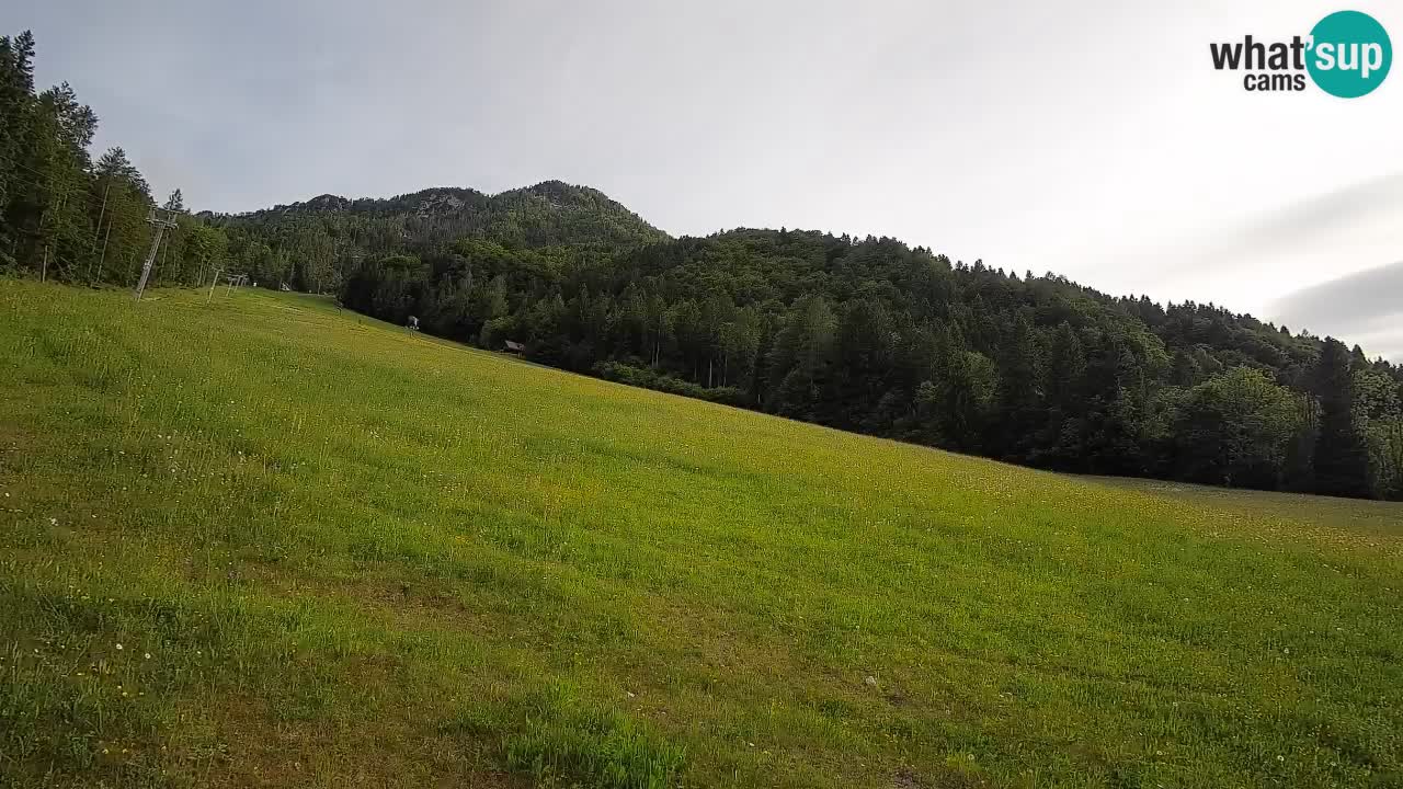 RTC Skigebiet Kranjska Gora | Brsnina
