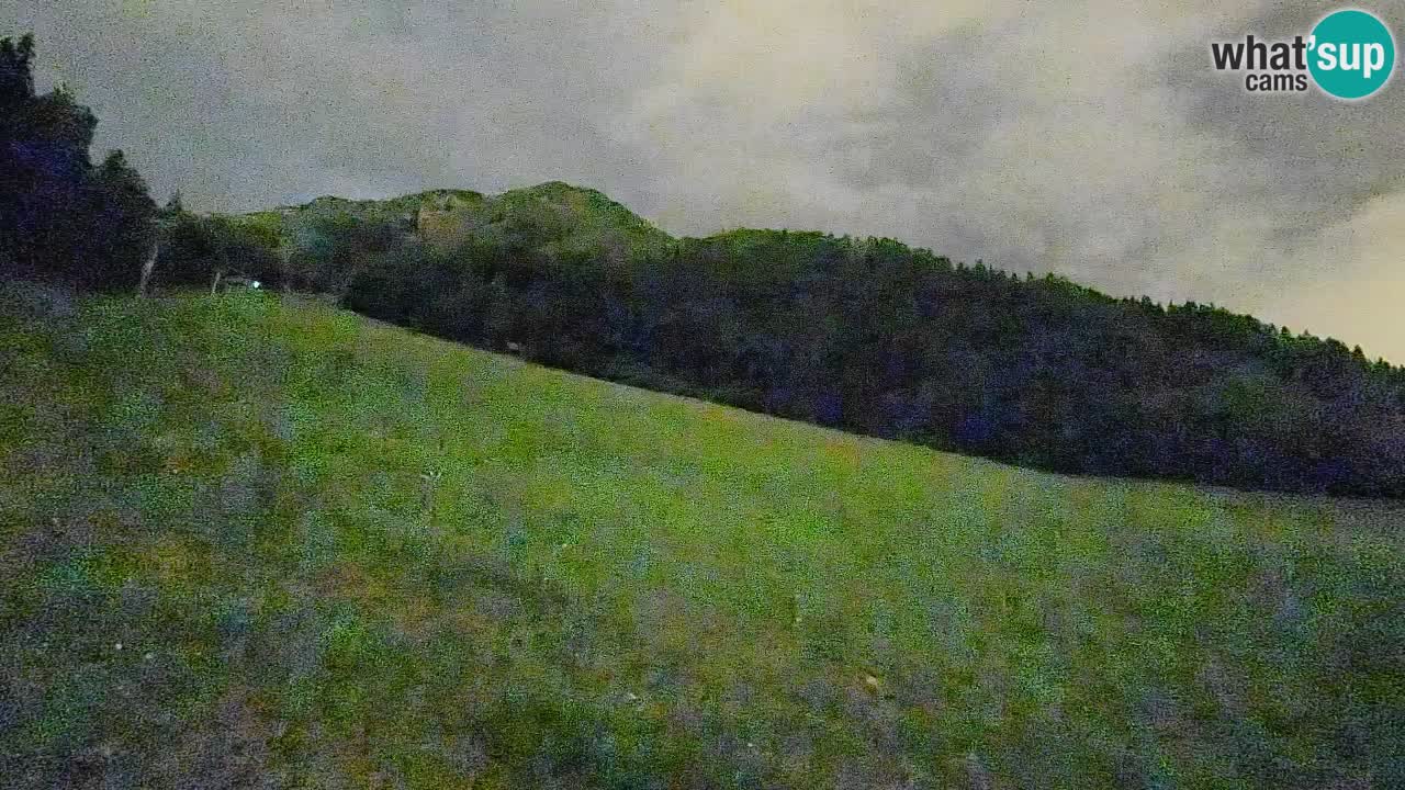 RTC Kranjska Gora | Brsnina