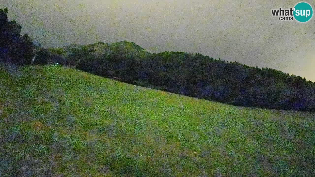 Esquí Kranjska Gora | Brsnina