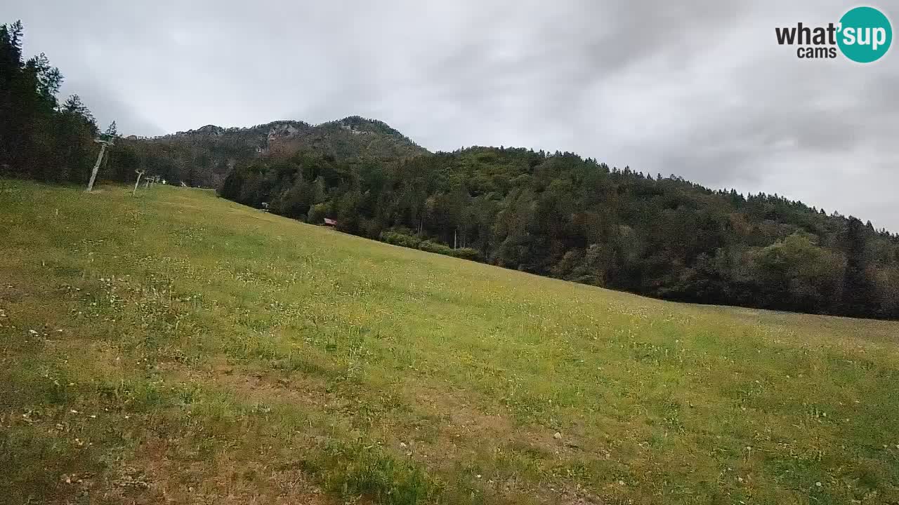 Kranjska Gora Station de ski | Brsnina