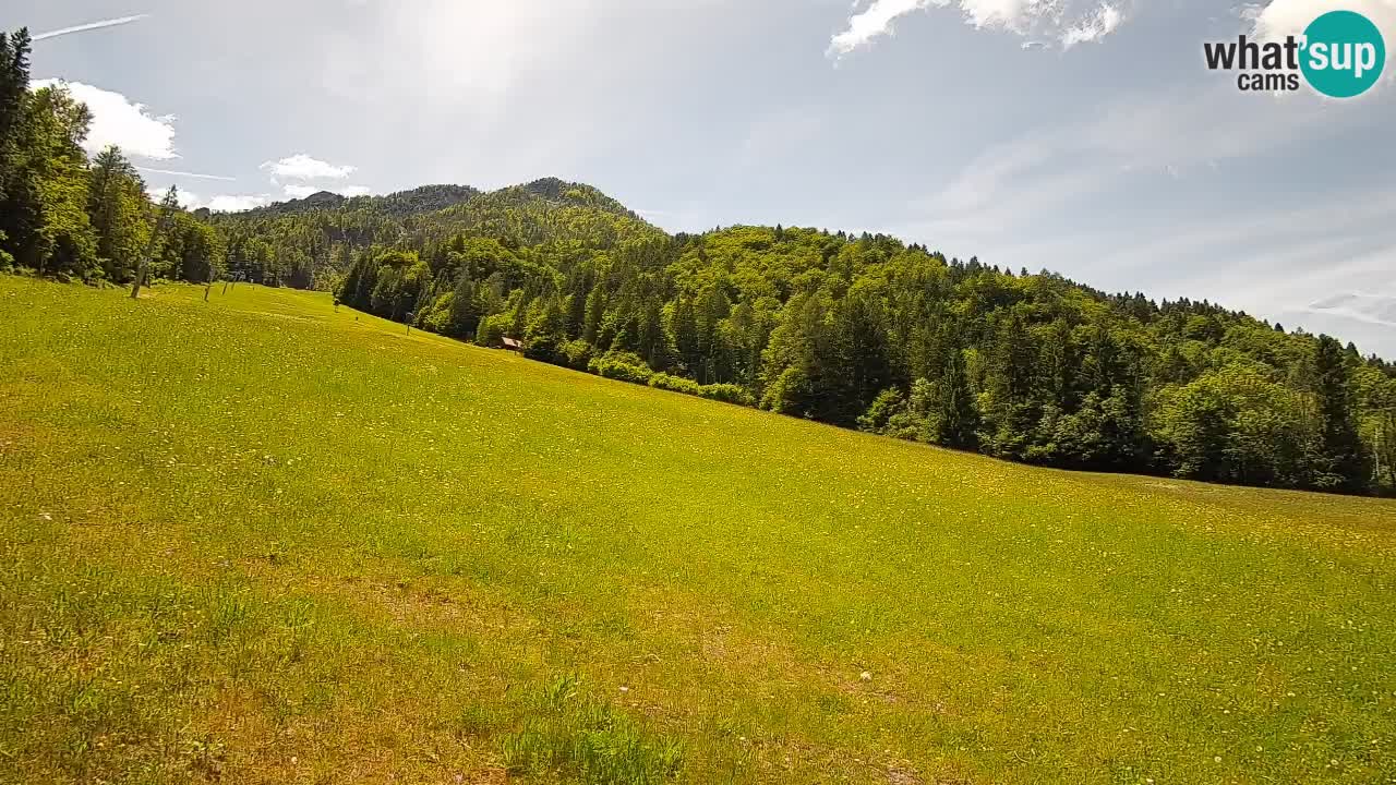 Kranjska Gora Station de ski | Brsnina