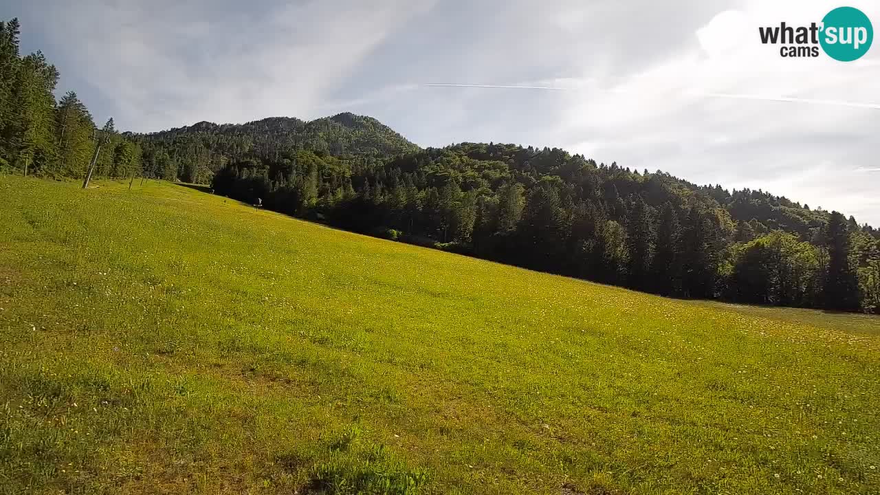 Kranjska Gora Station de ski | Brsnina