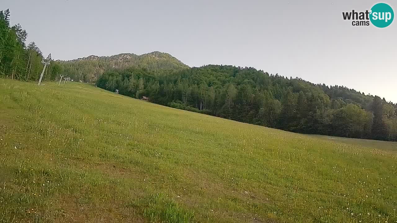 Comprensorio sciistico Kranjska Gora | Brsnina
