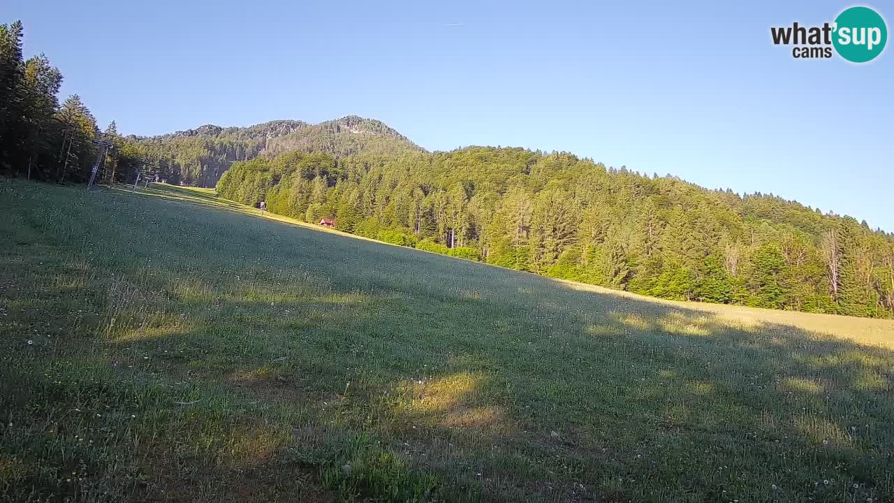 RTC Kranjska Gora | Brsnina