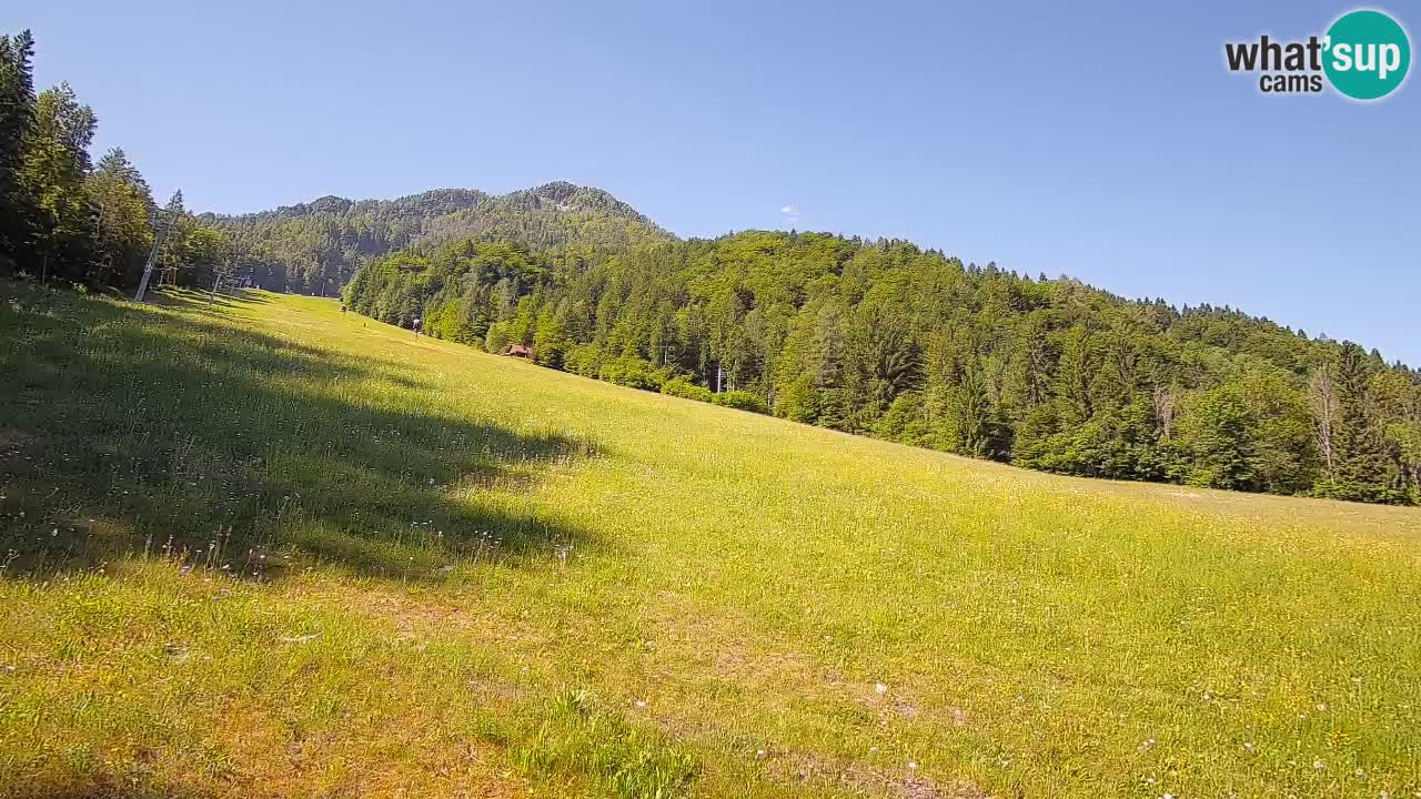 RTC Skigebiet Kranjska Gora | Brsnina