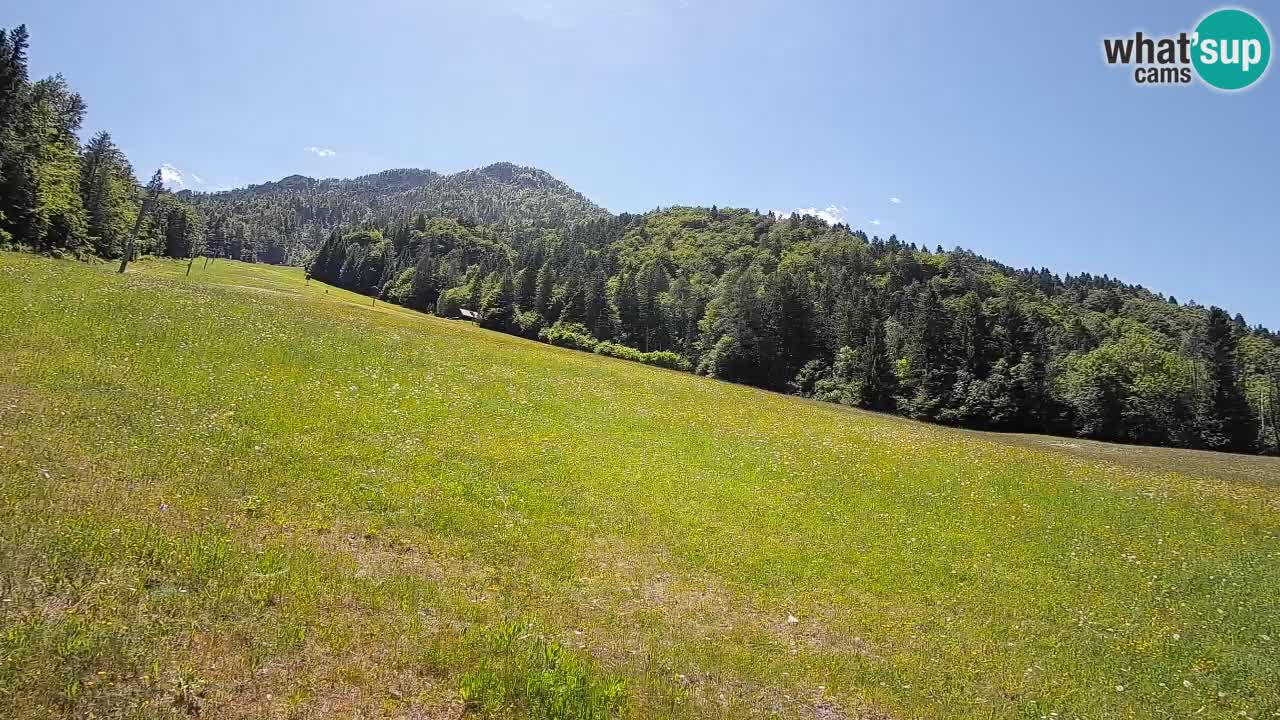 RTC Skigebiet Kranjska Gora | Brsnina