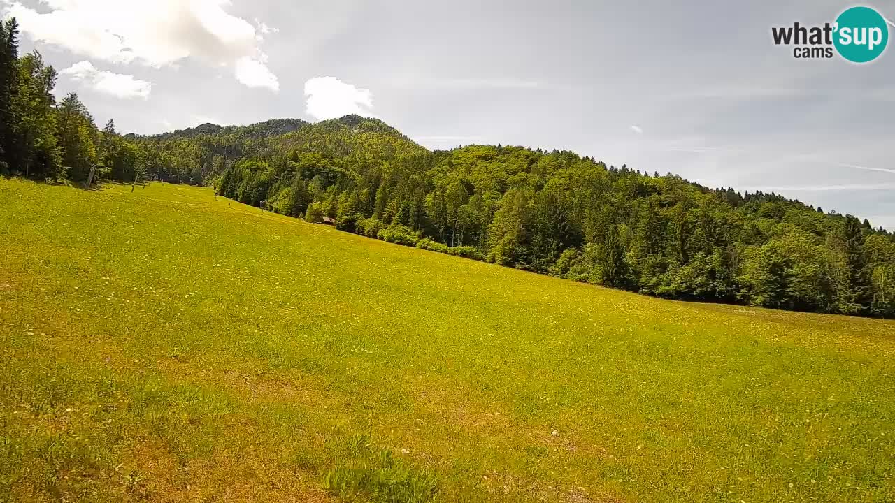 Kranjska Gora SKIJANJE | Brsnina