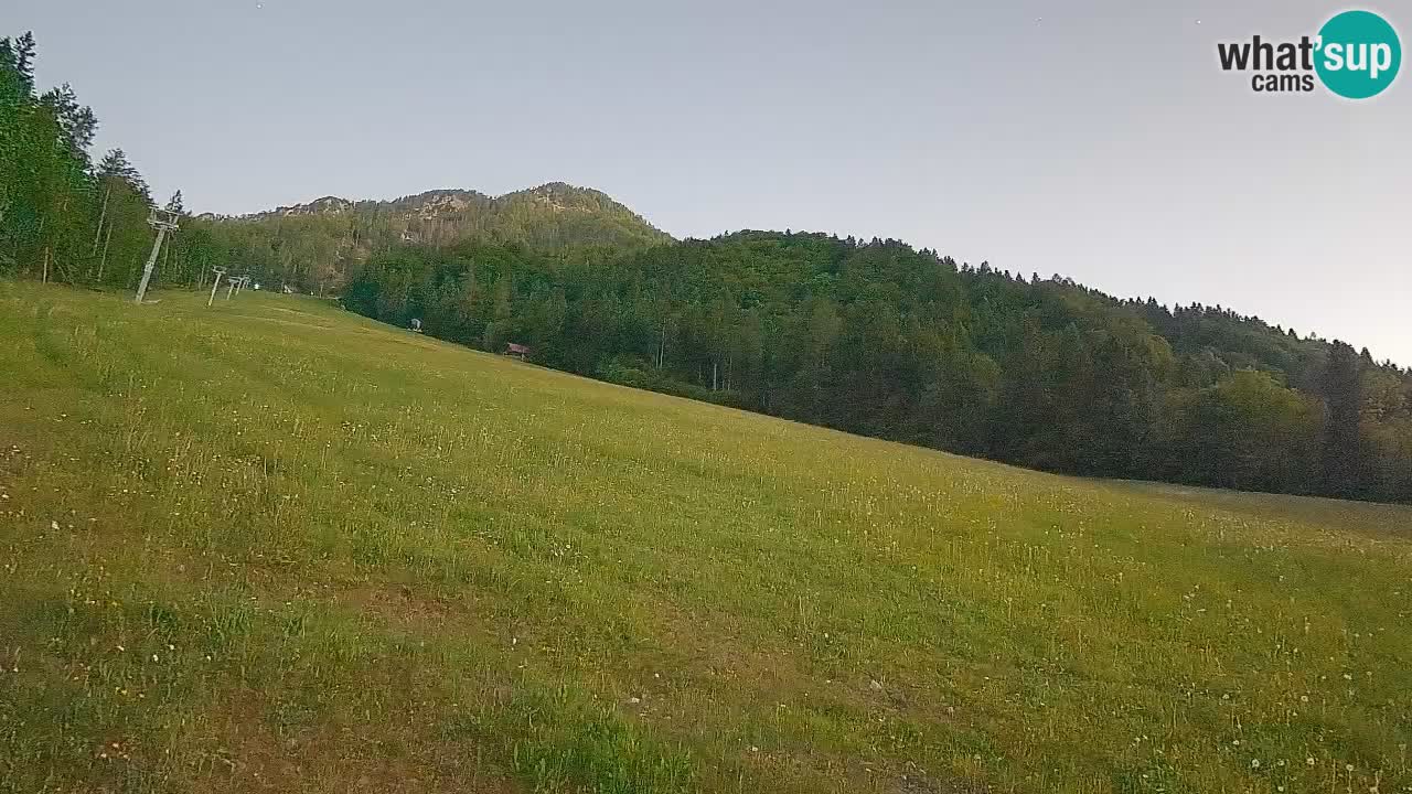 RTC Skigebiet Kranjska Gora | Brsnina