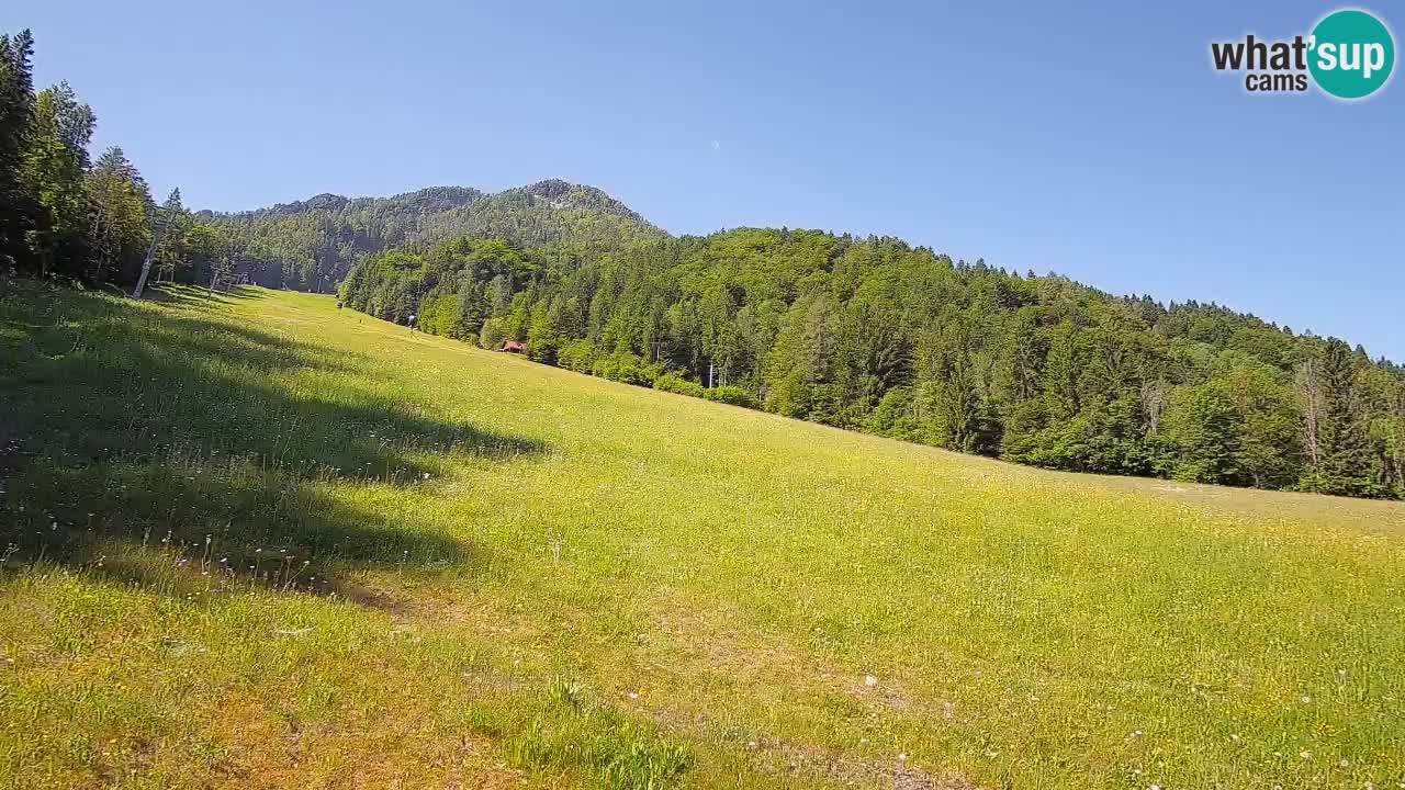 RTC Skigebiet Kranjska Gora | Brsnina