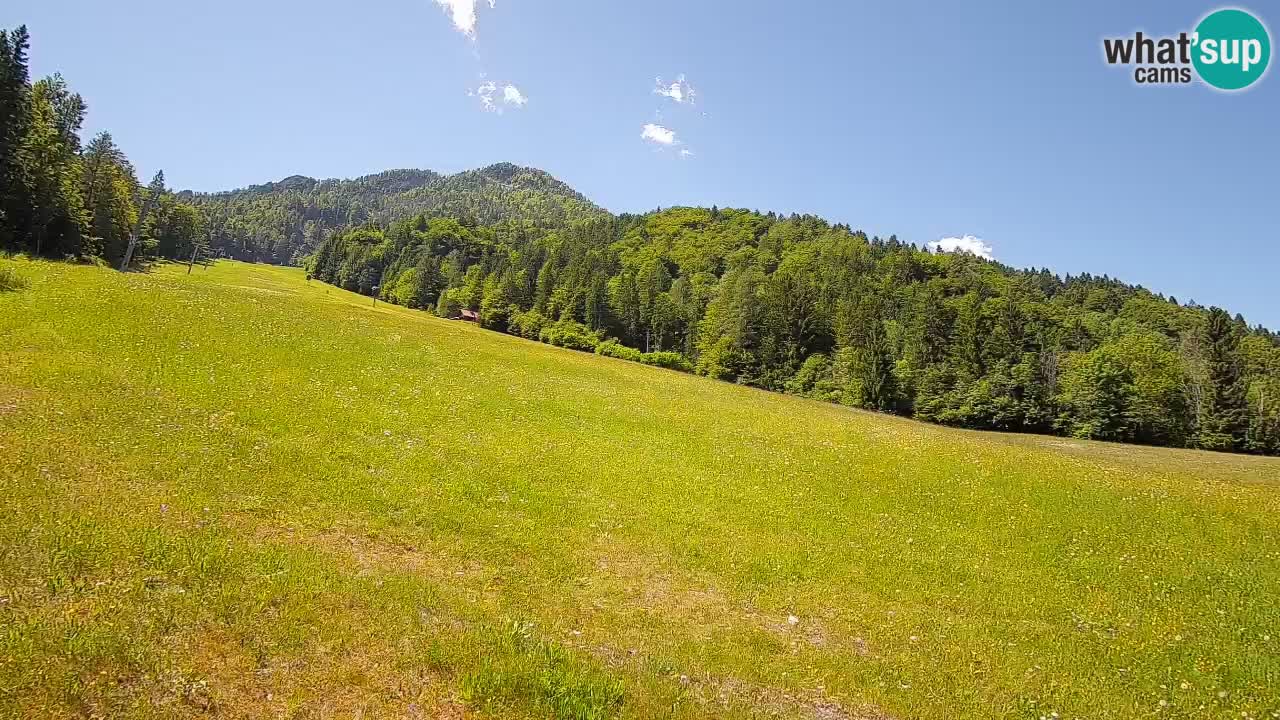 Kranjska Gora Station de ski | Brsnina