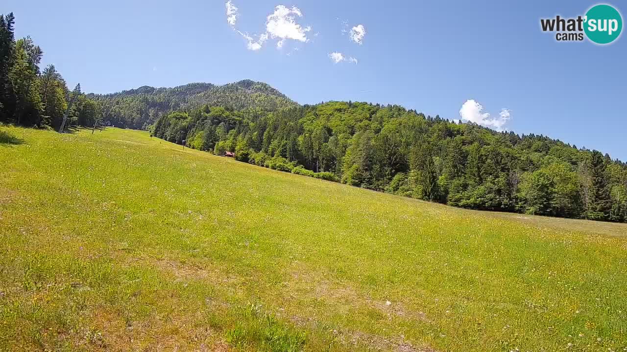 RTC Skigebiet Kranjska Gora | Brsnina
