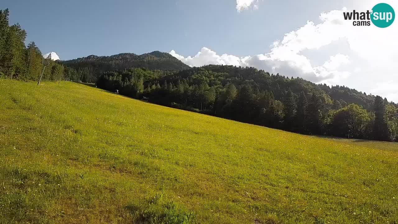 Kranjska Gora Station de ski | Brsnina