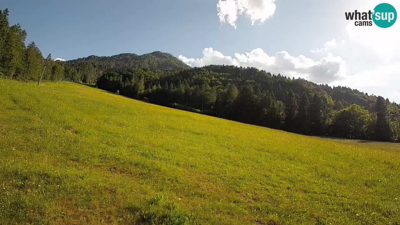 RTC Skigebiet Kranjska Gora | Brsnina