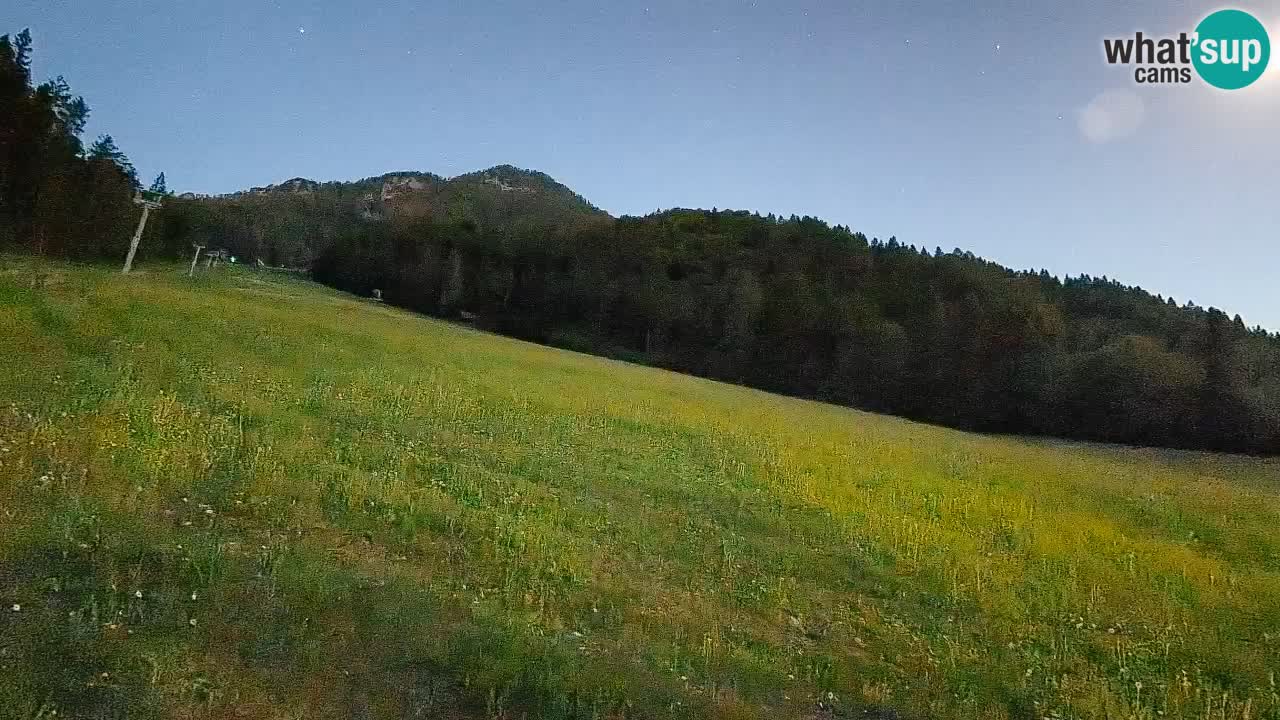 RTC Skigebiet Kranjska Gora | Brsnina