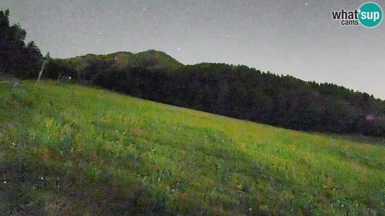 RTC Skigebiet Kranjska Gora | Brsnina