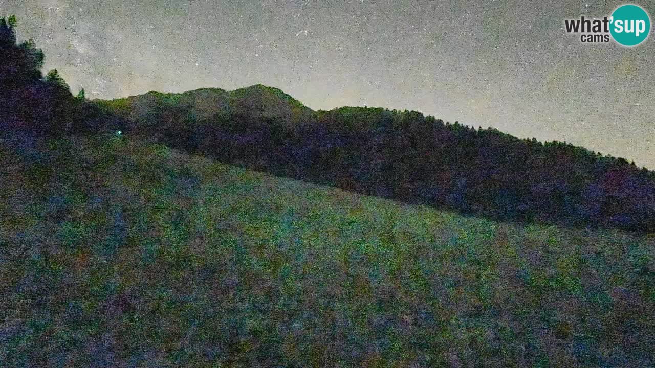 Esquí Kranjska Gora | Brsnina