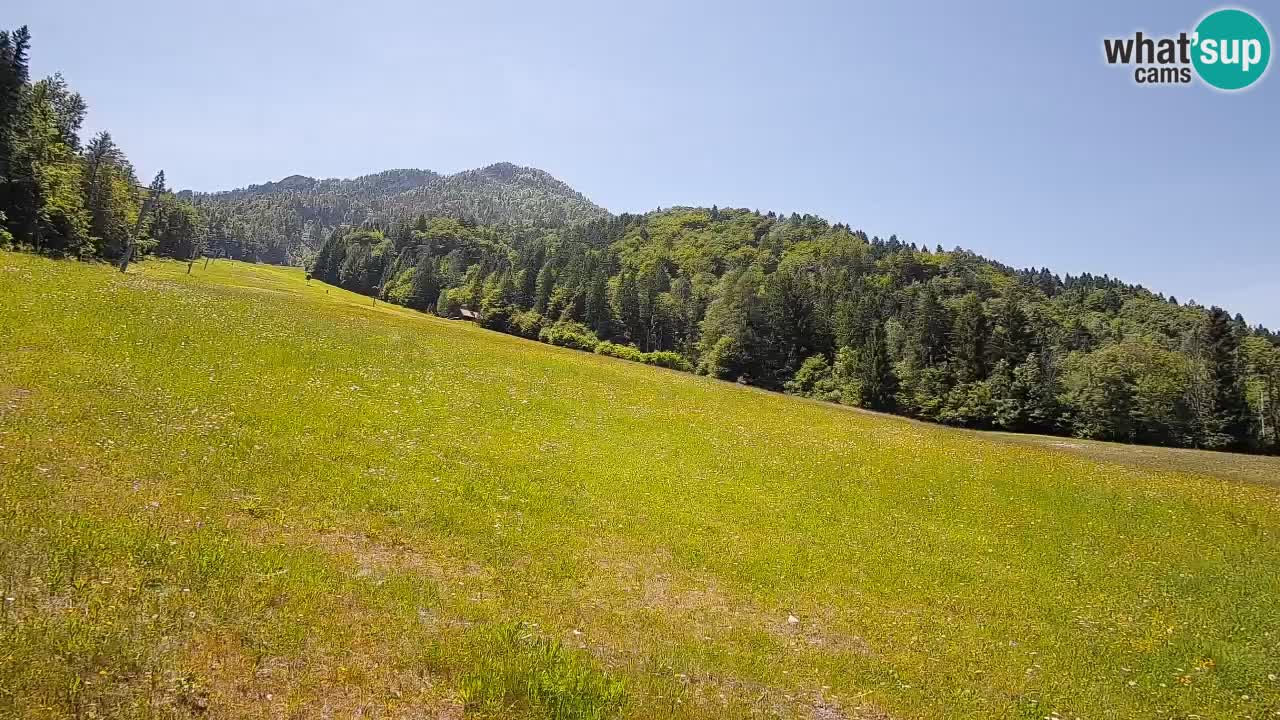 Kranjska Gora Station de ski | Brsnina