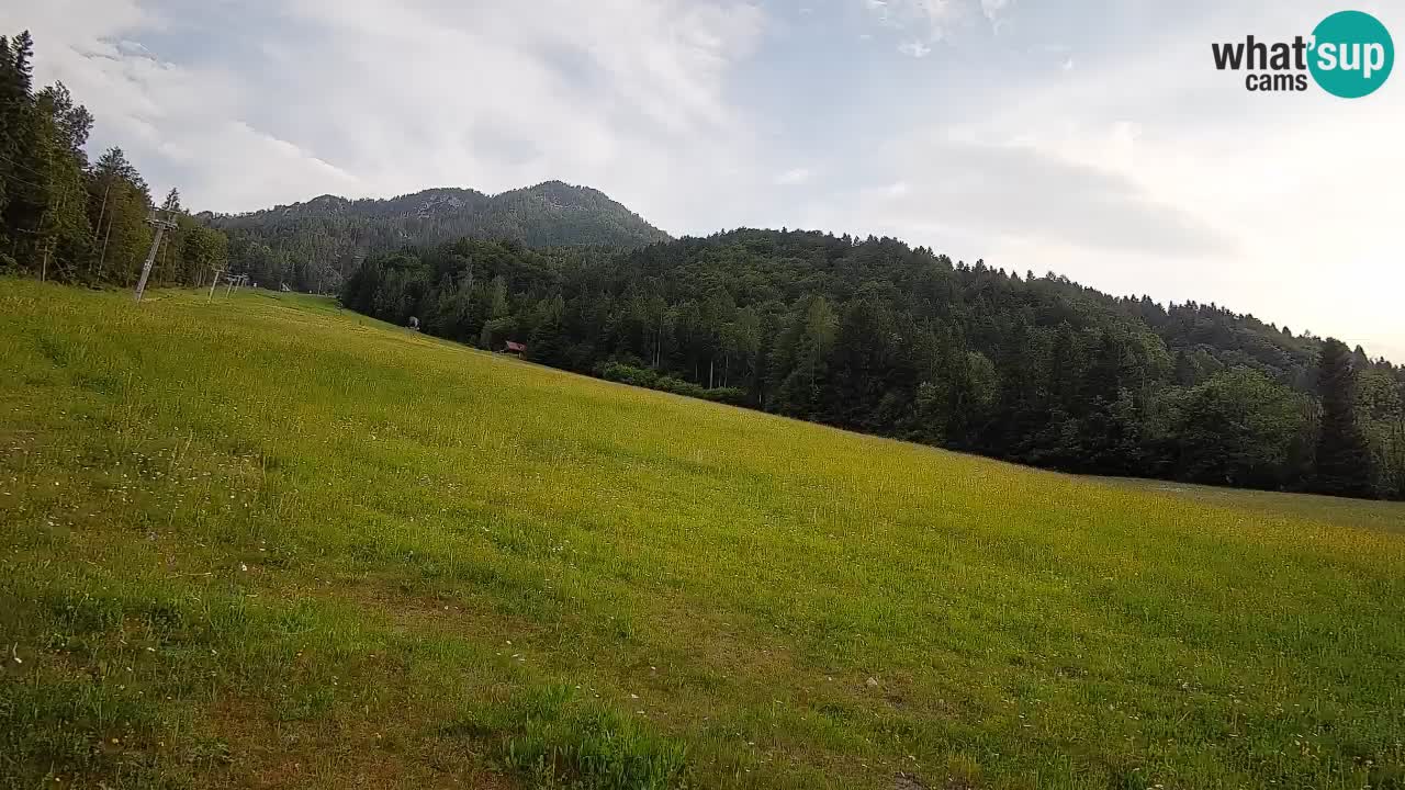 Esquí Kranjska Gora | Brsnina