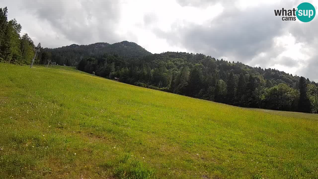 Kranjska Gora Station de ski | Brsnina