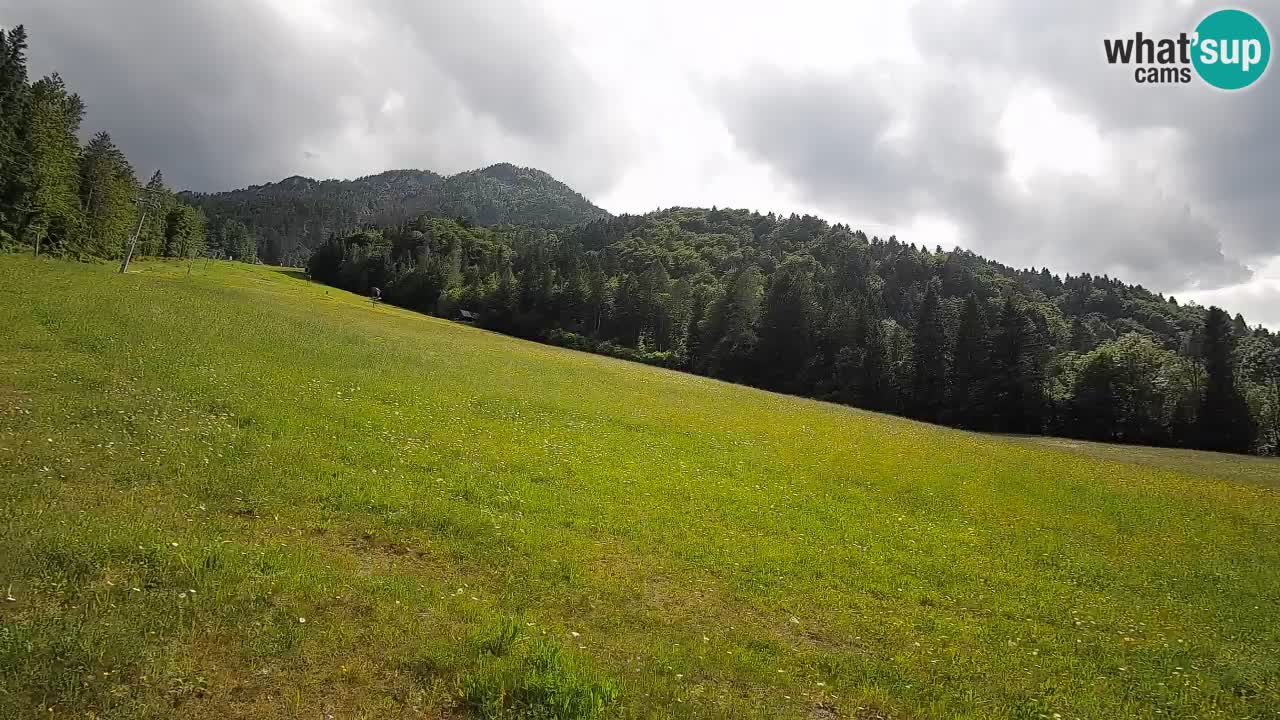 Ski Kranjska Gora | Brsnina