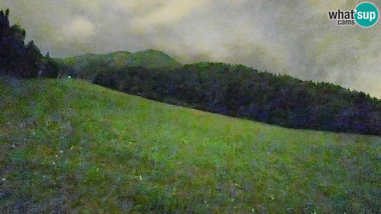 Esquí Kranjska Gora | Brsnina