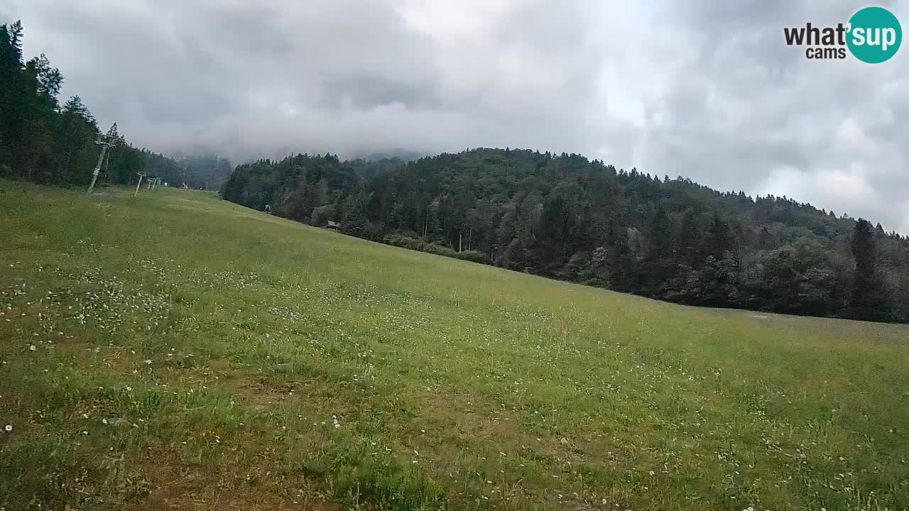 RTC Skigebiet Kranjska Gora | Brsnina