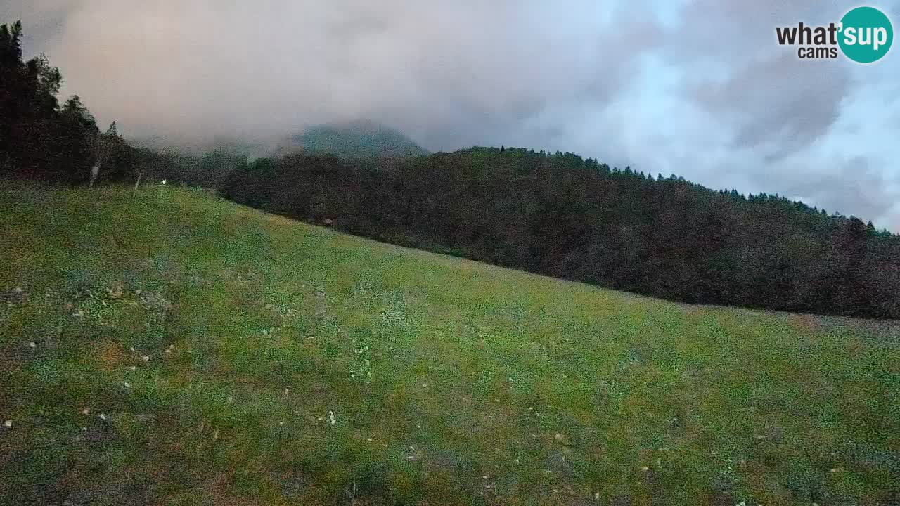 Kranjska Gora Station de ski | Brsnina