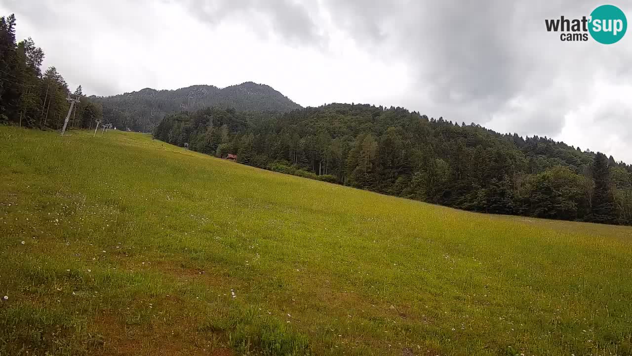 Esquí Kranjska Gora | Brsnina