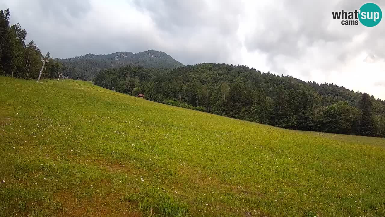 RTC Skigebiet Kranjska Gora | Brsnina