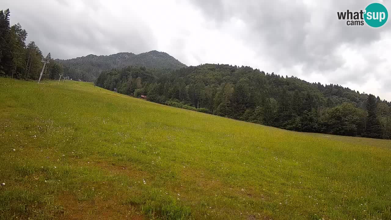 RTC Skigebiet Kranjska Gora | Brsnina