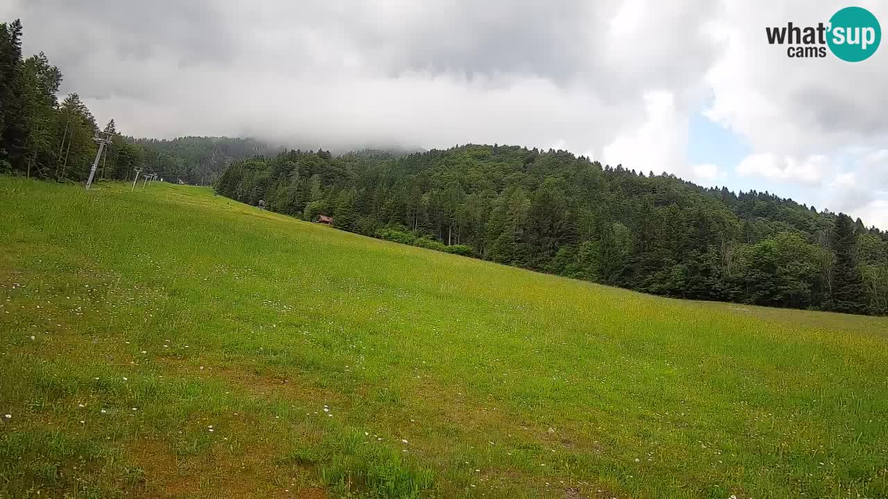 RTC Skigebiet Kranjska Gora | Brsnina