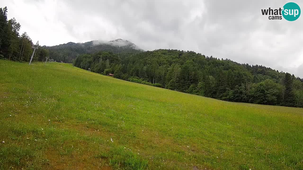 Comprensorio sciistico Kranjska Gora | Brsnina