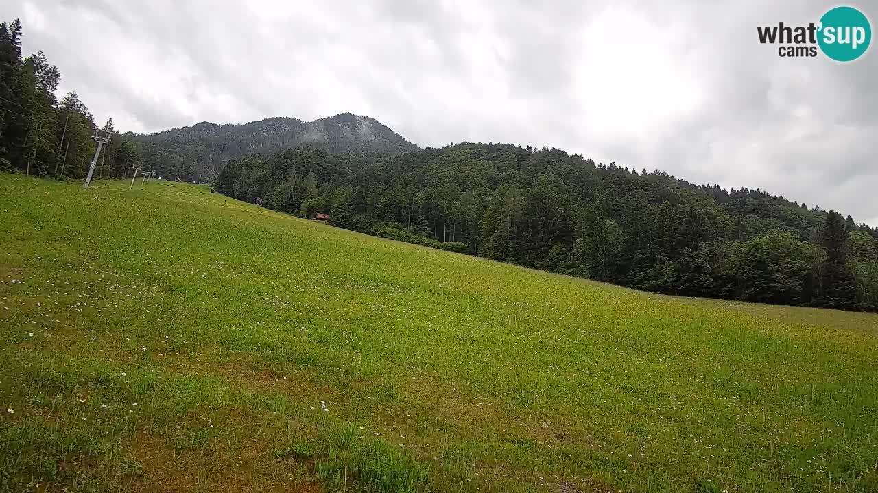 Esquí Kranjska Gora | Brsnina