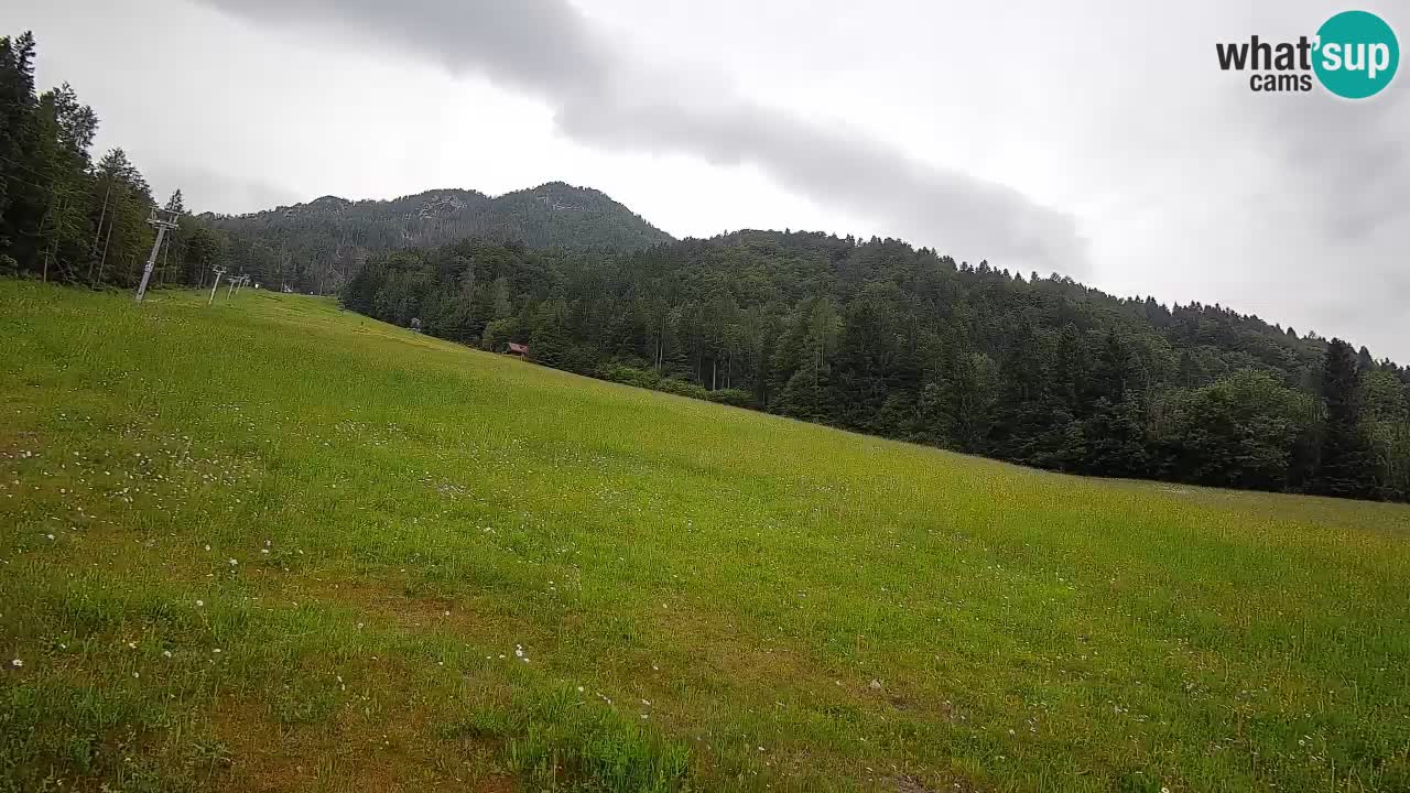 Kranjska Gora SKIJANJE | Brsnina