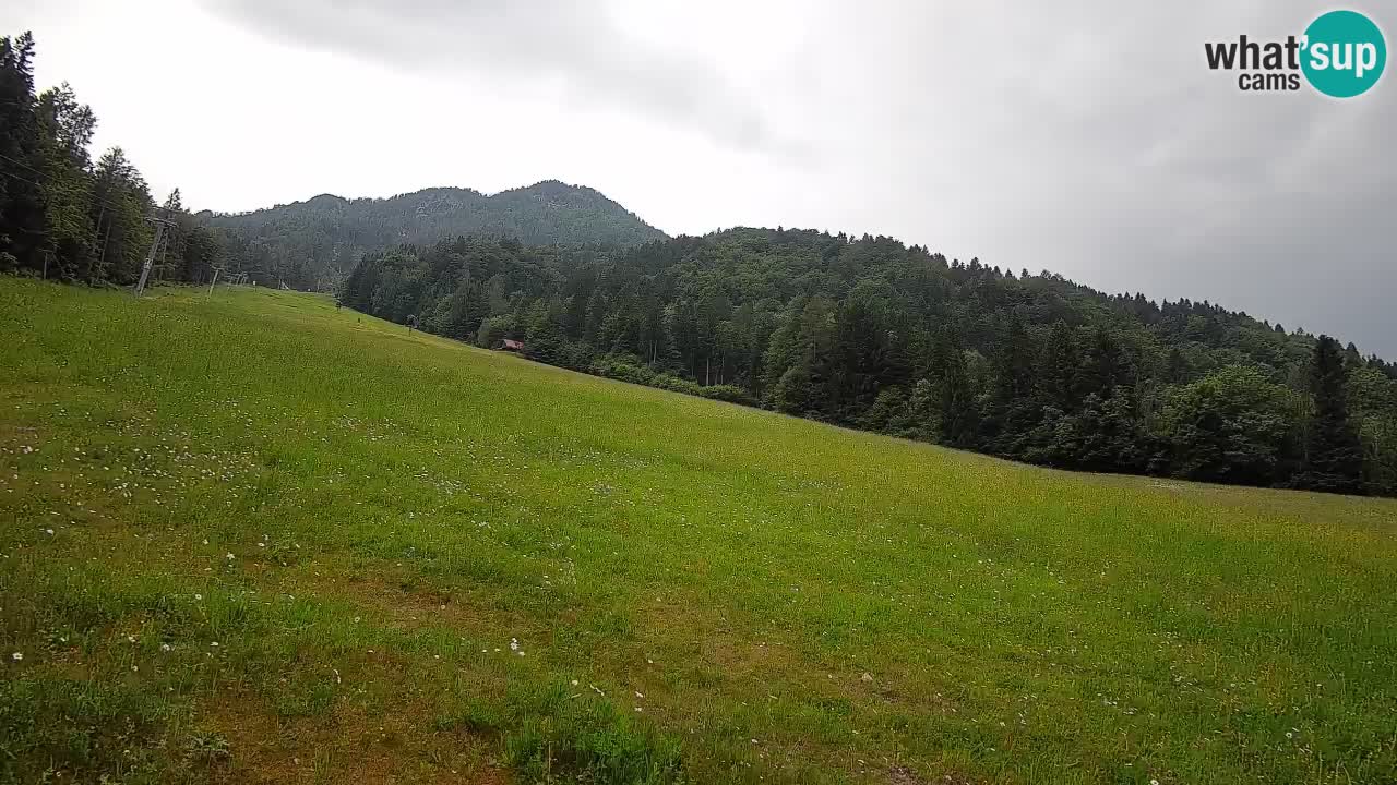 Comprensorio sciistico Kranjska Gora | Brsnina