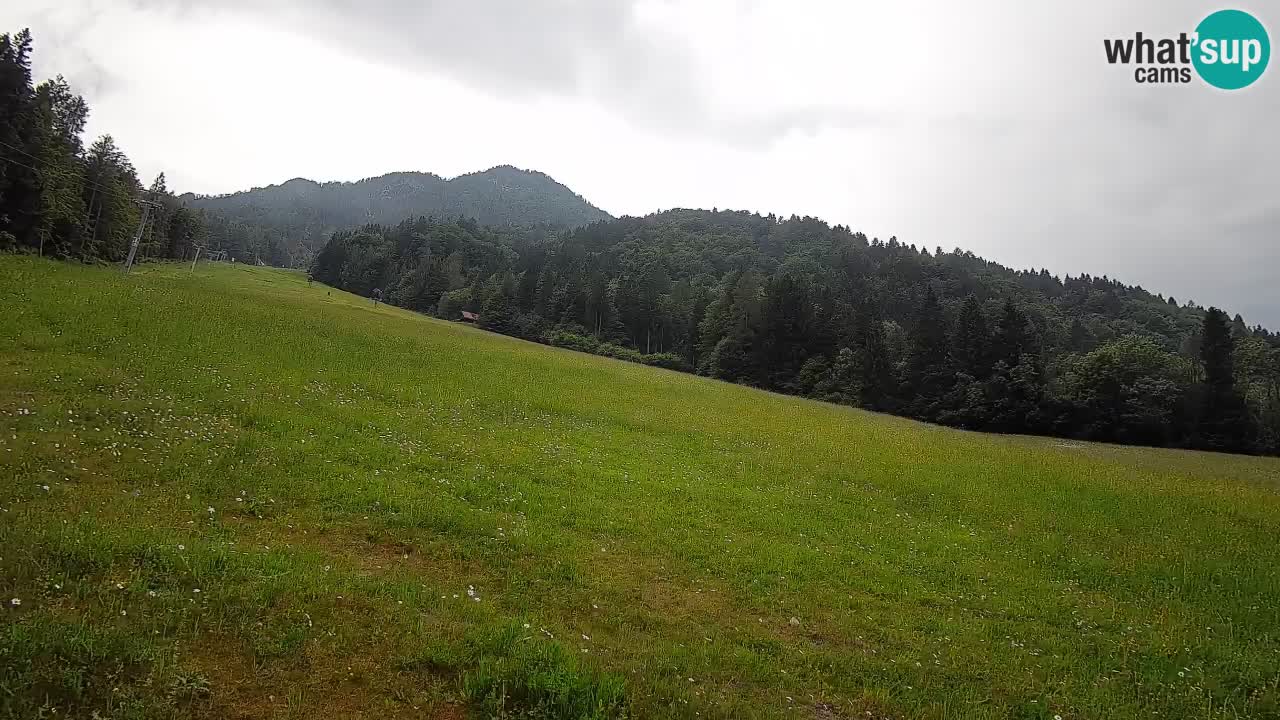 Comprensorio sciistico Kranjska Gora | Brsnina