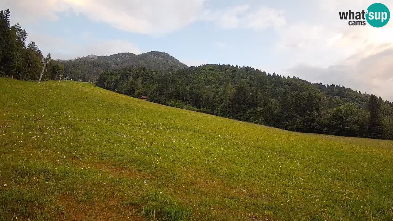 Kranjska Gora Station de ski | Brsnina