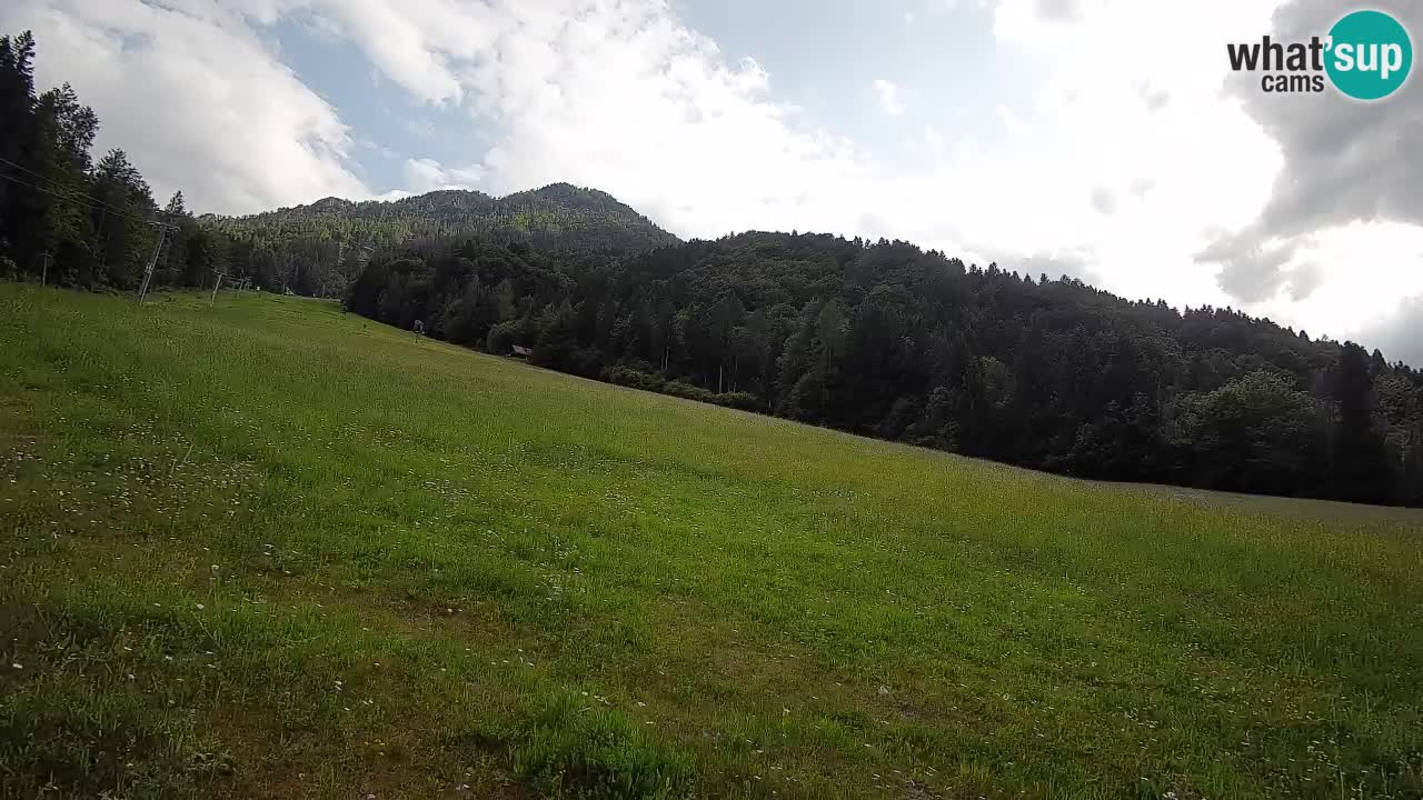 Kranjska Gora Station de ski | Brsnina