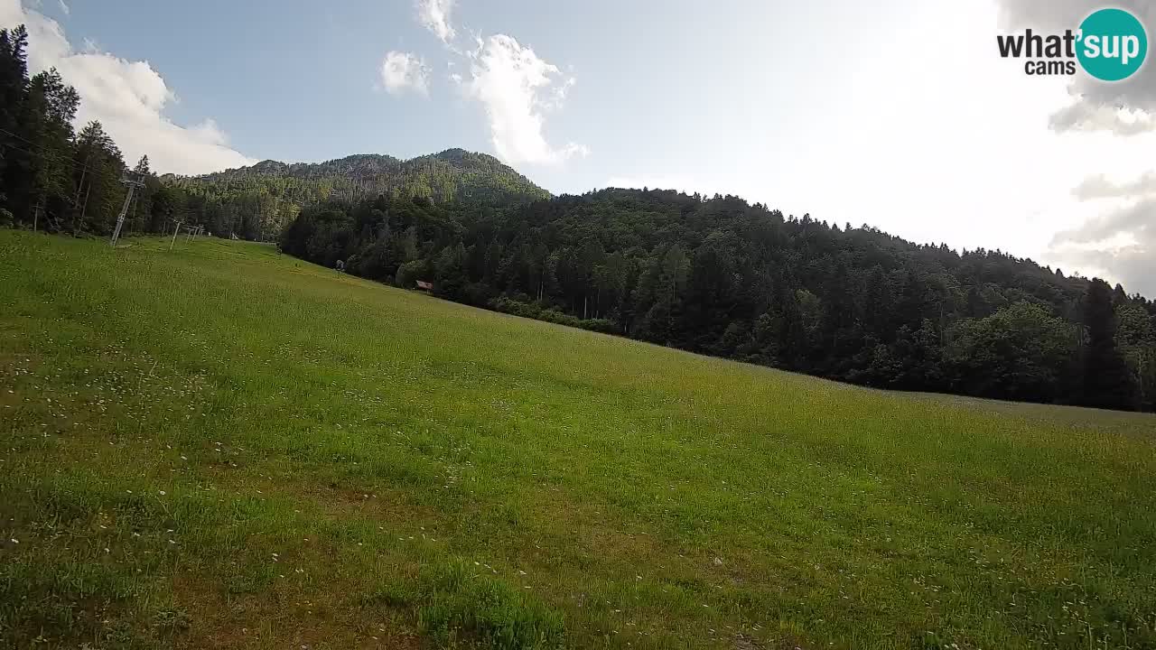 Comprensorio sciistico Kranjska Gora | Brsnina