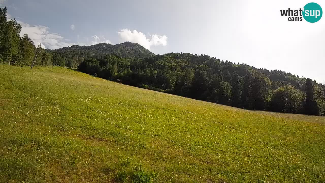 Kranjska Gora SKIJANJE | Brsnina