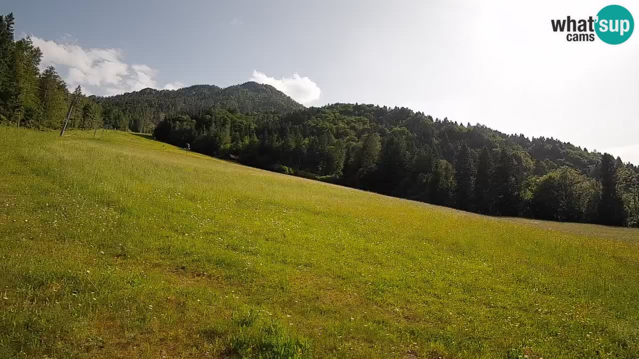 Ski Kranjska Gora | Brsnina
