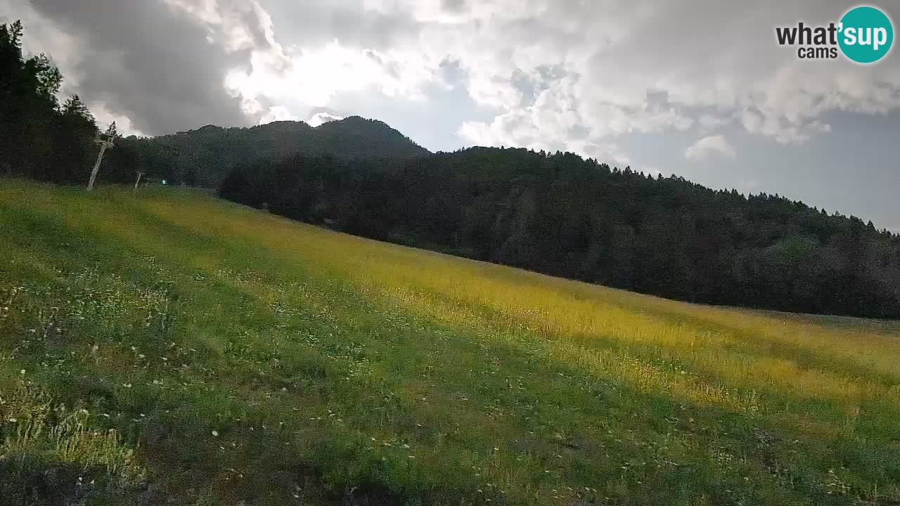 RTC Skigebiet Kranjska Gora | Brsnina