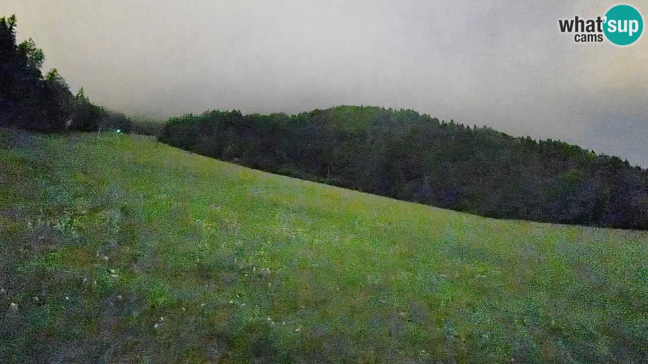 Esquí Kranjska Gora | Brsnina