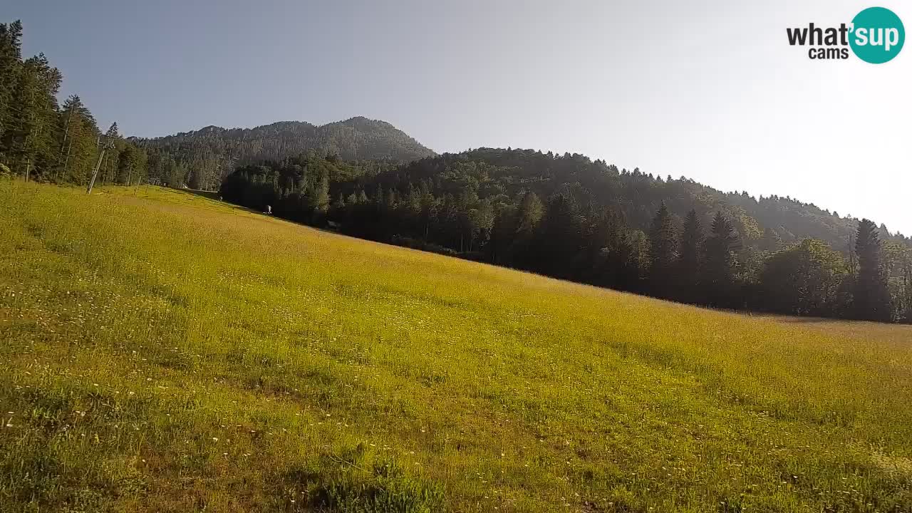 Ski Kranjska Gora | Brsnina