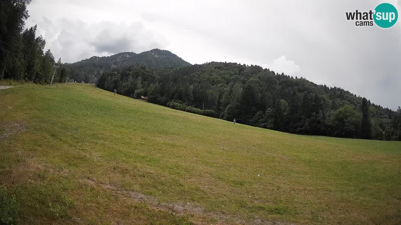 Comprensorio sciistico Kranjska Gora | Brsnina