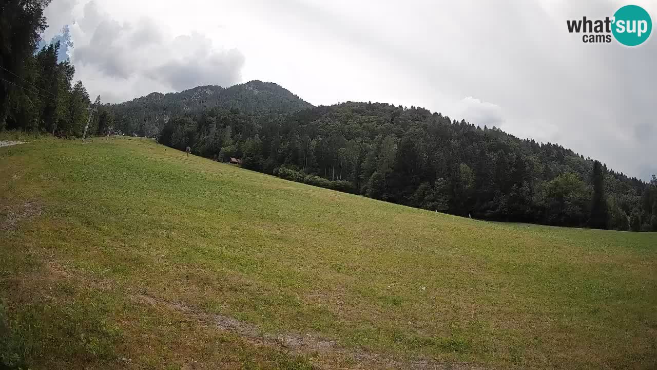 Comprensorio sciistico Kranjska Gora | Brsnina