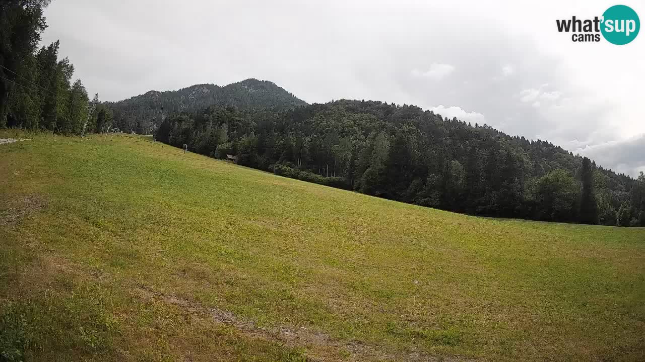 Ski Kranjska Gora | Brsnina