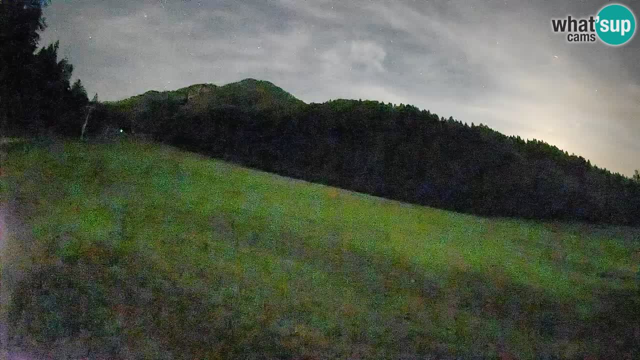 RTC Kranjska Gora | Brsnina