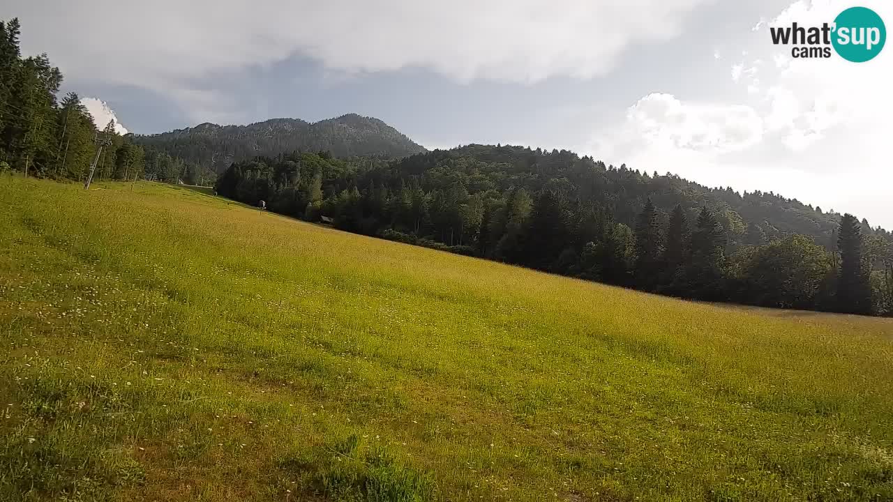 Ski Kranjska Gora | Brsnina