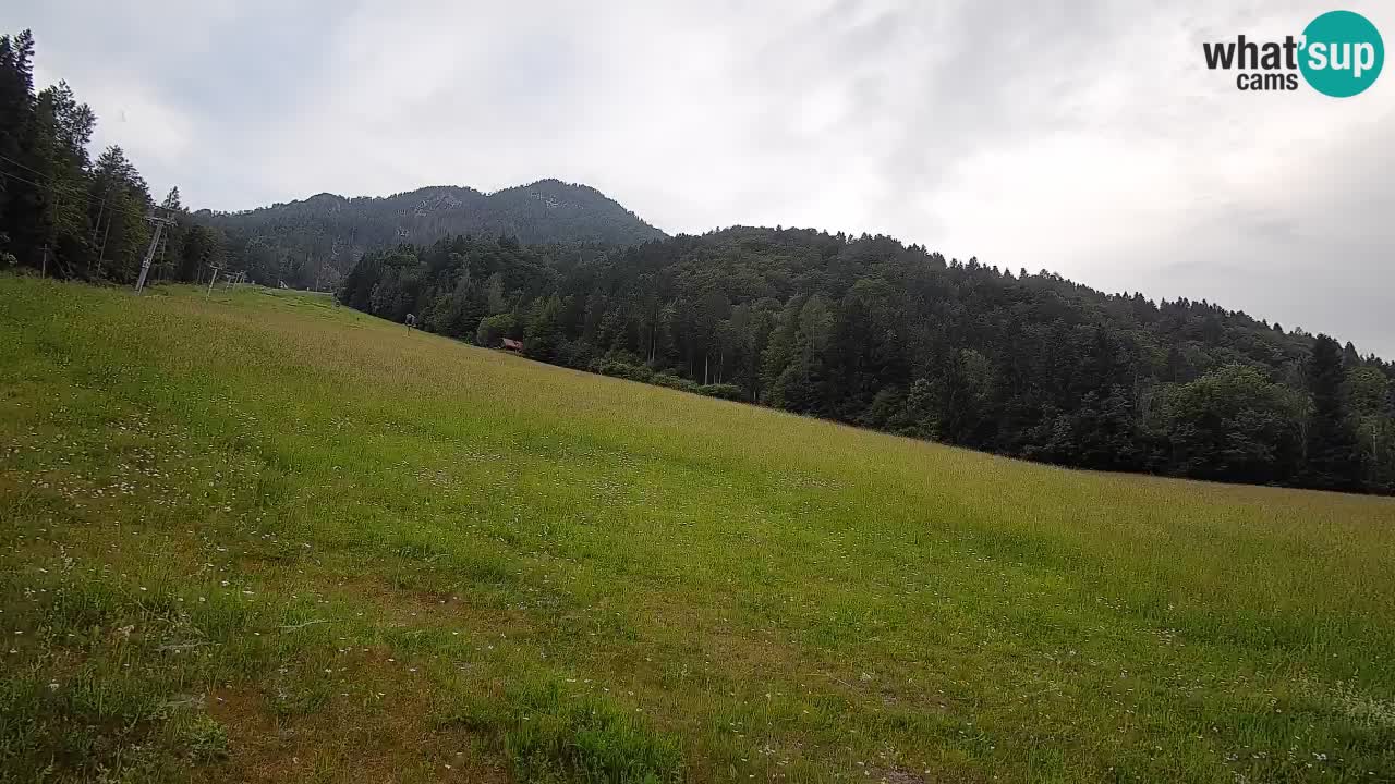 Ski Kranjska Gora | Brsnina